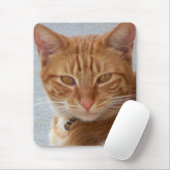 Tapis De Souris L'Amant du chat_ (Avec souris)