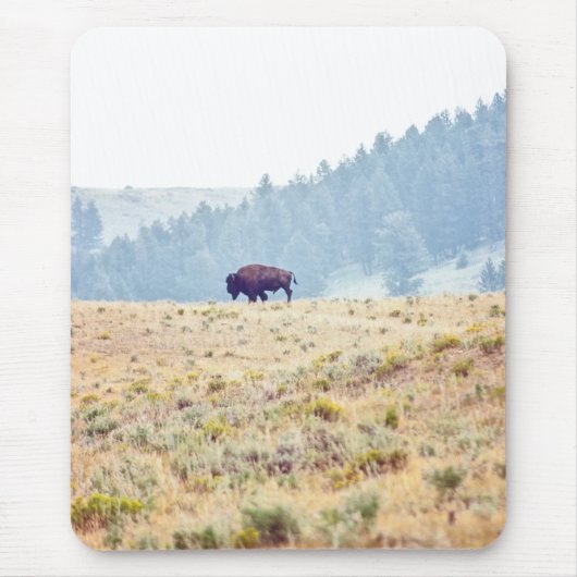 Tapis De Souris Lamar (Devant)