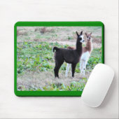 Tapis De Souris Lamas Mousepad de bébé (Avec souris)