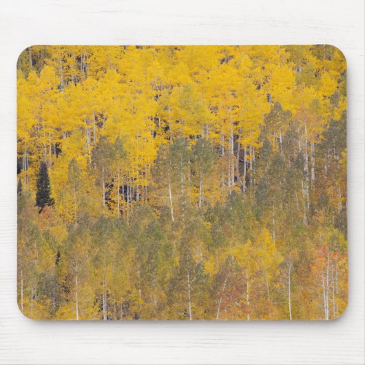 Tapis De Souris Lambert Hollow, trembles (Devant)