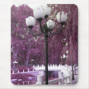 Tapis De Souris Lampe Dans Le Parc Changan Mousepad