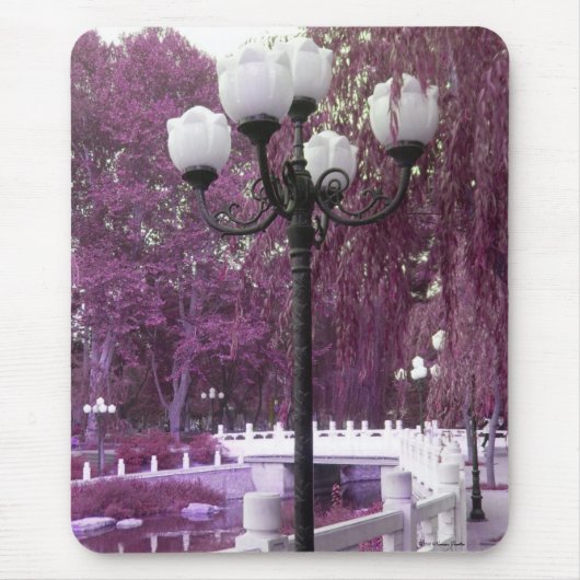 Tapis De Souris Lampe Dans Le Parc Changan Mousepad (Devant)