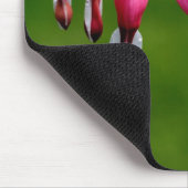 Tapis De Souris Lamprocapnos spectabilis (Coin)