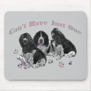 TAPIS DE SOURIS LANDSEER TERRE-NEUVE NE PEUT PAS AVOIR JUSTE UN