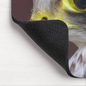 Tapis De Souris Lanner Falcon (Coin)