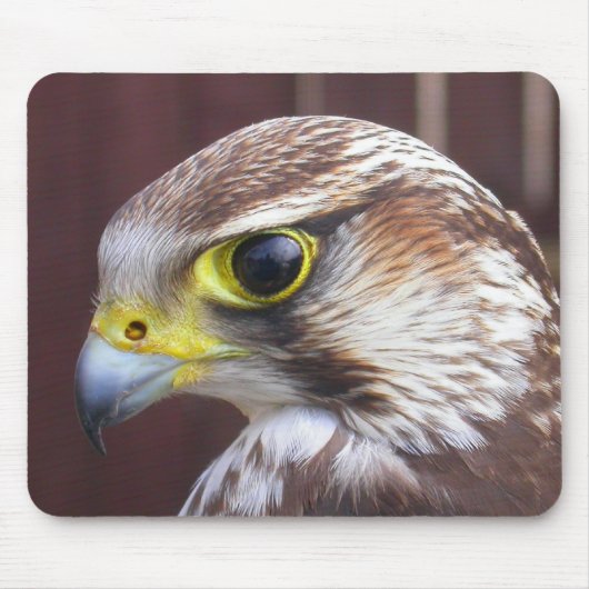Tapis De Souris Lanner Falcon (Devant)