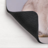 Tapis De Souris lapin, arrière - plan simple, animal, table blanch (Coin)