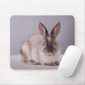 Tapis De Souris lapin, arrière - plan simple, animal, table blanch (Avec souris)