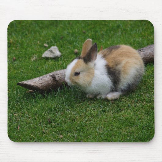 Tapis De Souris Lapin bébé doux (Devant)