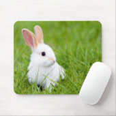 Tapis De Souris Lapin blanc (Avec souris)