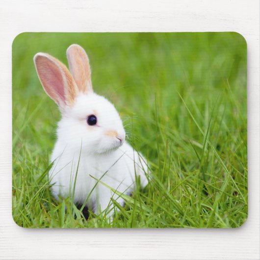 Tapis De Souris Lapin blanc (Devant)