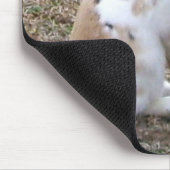Tapis De Souris Lapin Bouffé... (Coin)