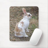 Tapis De Souris Lapin Bouffé... (Avec souris)