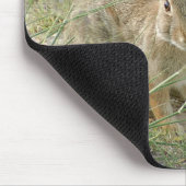 Tapis De Souris Lapin de début de soirée (Coin)