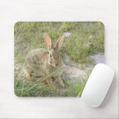 Tapis De Souris Lapin de début de soirée (Avec souris)