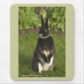 Tapis De Souris Lapin debout de Rex (Devant)