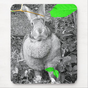 Tapis De Souris Lapin géant flamand B et W avec le feuille vert