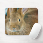 Tapis De Souris Lapin Lapin (Avec souris)