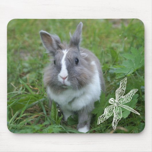 Tapis De Souris Lapin lapin (Devant)