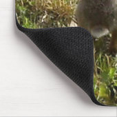Tapis De Souris Lapin Lapin (Coin)