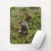Tapis De Souris Lapin Lapin (Avec souris)