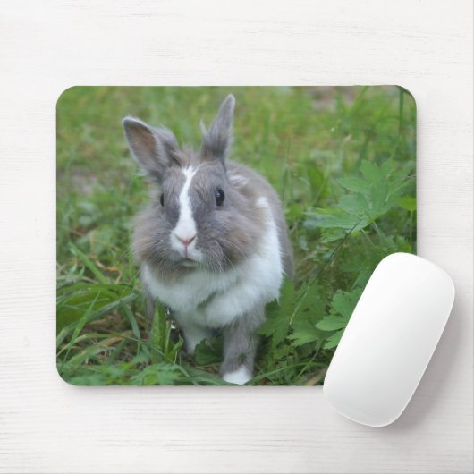 Tapis De Souris Lapin lapin (Avec souris)