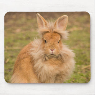 Tapis De Souris Lapin lapin à tête de lionhead rouge farci