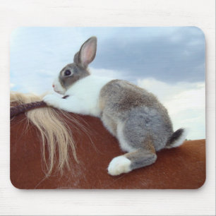 Tapis De Souris Lapin néerlandais montant un cheval