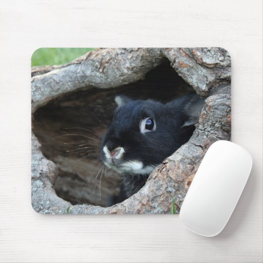 Tapis De Souris Lapin noir en creux d'un arbre (Avec souris)