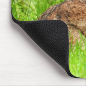 Tapis De Souris Lapin sauvage (Coin)