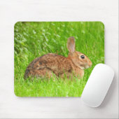 Tapis De Souris Lapin sauvage (Avec souris)