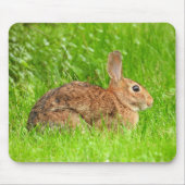 Tapis De Souris Lapin sauvage (Devant)
