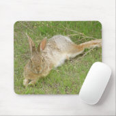 Tapis De Souris Lapin sur la coupure (Avec souris)