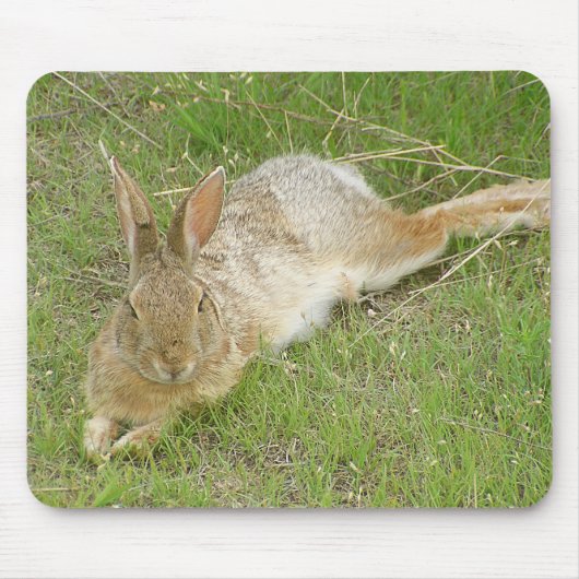 Tapis De Souris Lapin sur la coupure (Devant)