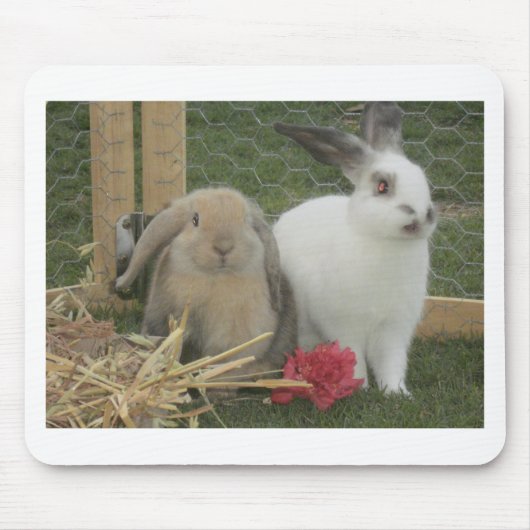 Tapis De Souris Lapins (Devant)