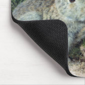 Tapis De Souris Lapins (Coin)