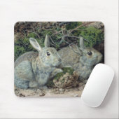 Tapis De Souris Lapins (Avec souris)
