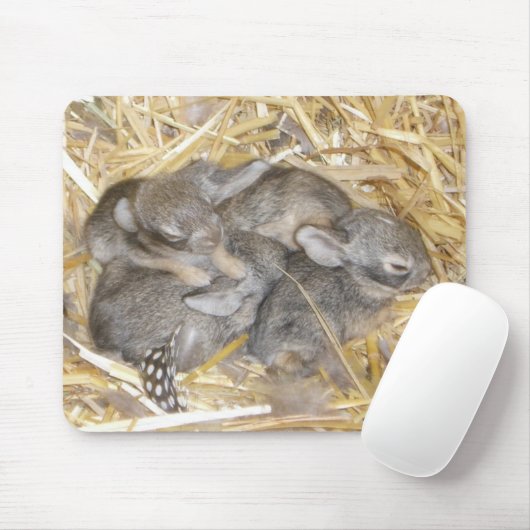 Tapis De Souris Lapins de lapin (Avec souris)