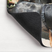 Tapis De Souris L'argent tachettent l'ami 2 de teckel (Coin)