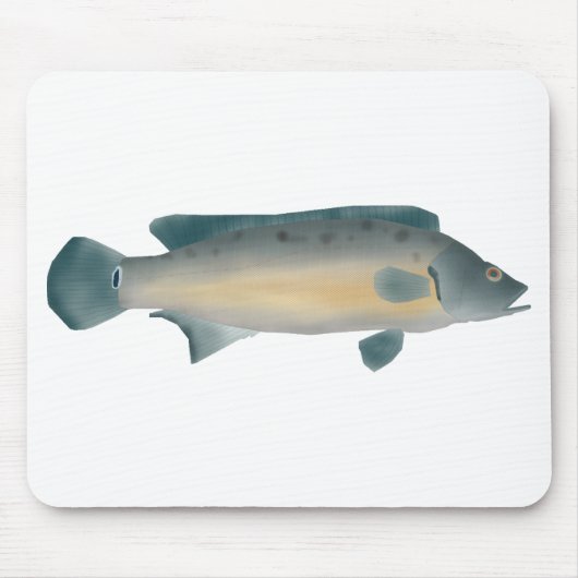 Tapis De Souris Lateral Striped Pike Cichlid (Devant)