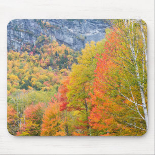 Tapis De Souris L'automne dans le parc d'État de Grafton Notch, Ma