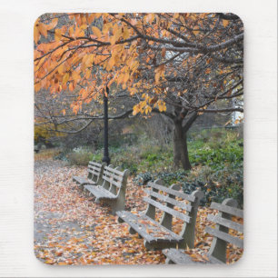 Tapis De Souris L'automne de la photographie à New York dans River