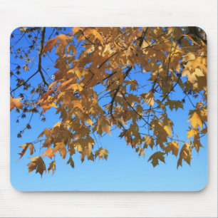 Tapis De Souris L'automne,feuilles d'automne,arbres et ciel bleu