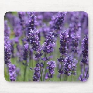 tapis de souris lavande