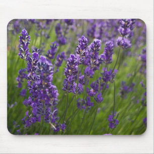Tapis De Souris Lavendar   Lavendel