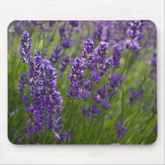 Tapis De Souris Lavendar | Lavendel