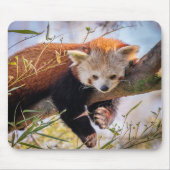 Tapis De Souris Lazy little red panda (Devant)