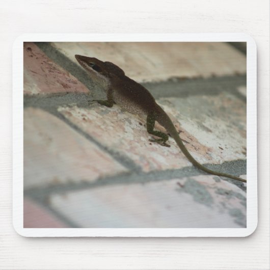 Tapis De Souris Lazy Lizard (Devant)