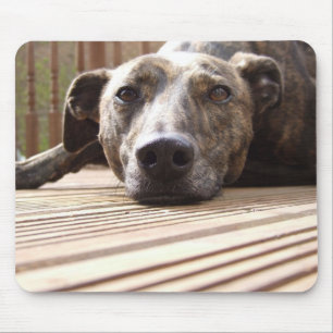 Tapis De Souris Lazy Lurcher