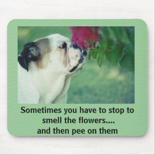 Tapis De Souris Le bouledogue et le rose